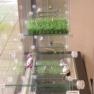 De Man Optiek - De Winkel